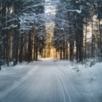 The most important rules for beginners in winter sports: how to learn the basics and get have fun